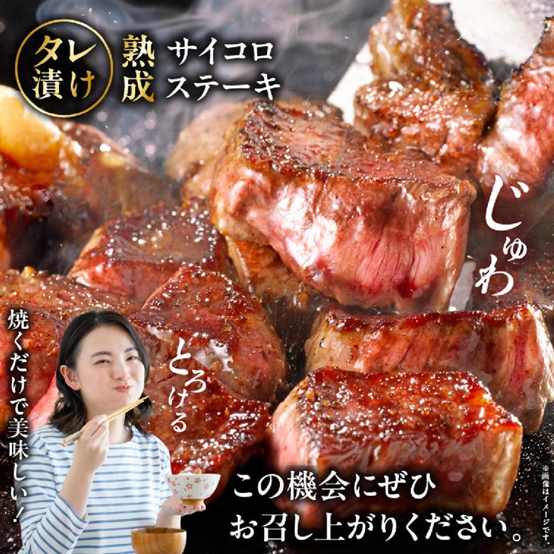 【食べログ百名店特製】宮崎牛漬け込み熟成サイコロステーキ 600g 国産 牛肉 国産牛 宮崎牛 黒毛和牛 お肉 肉 サイコロステーキ 熟成 ステーキ 冷凍 タレ漬け ステーキ肉 宮崎県
