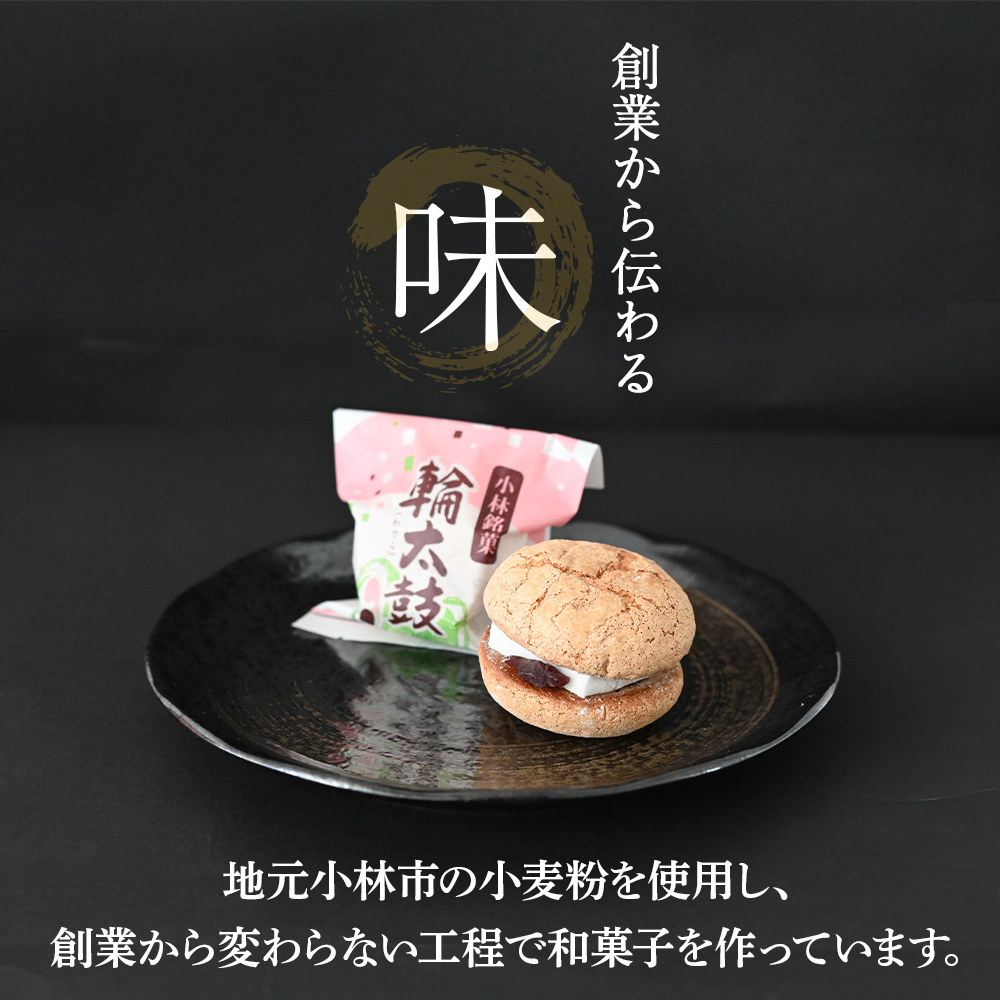 【地元銘菓】輪太鼓（わでこ）10個入（菓子 スイーツ 和菓子 ブッセ 餅 あんこ 銘菓 宮崎県）