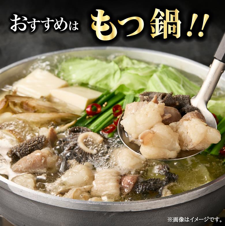 宮崎県産 ミックス ホルモン 500g×2P 計1kg（牛肉 肉 ホルモン 黒毛和牛 もつ鍋 焼肉 鍋）