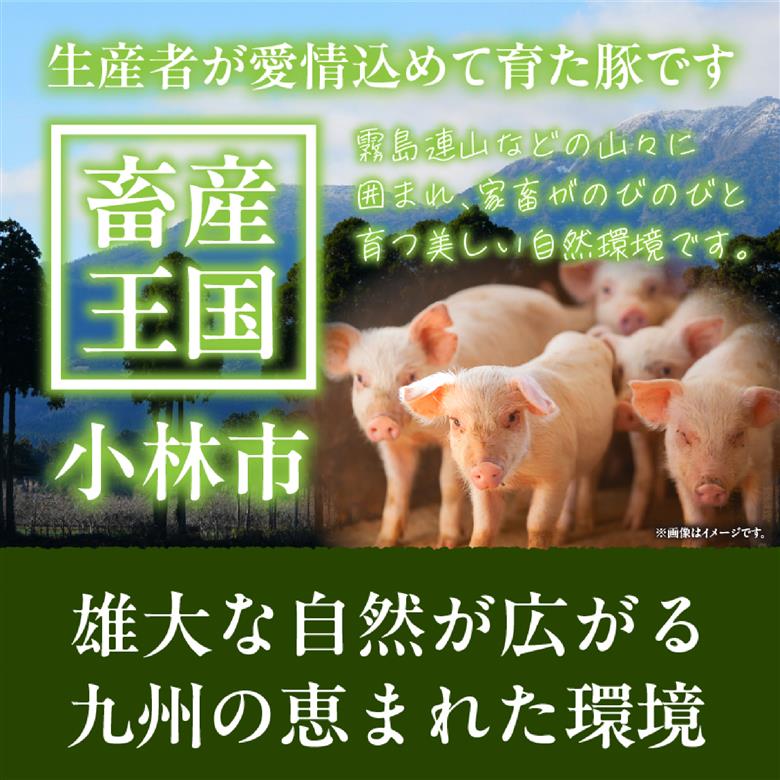 九州産豚小間切れ 9kg 300g×30P（国産 豚 豚肉 小間切れ 豚小間 豚こま 切り落とし 真空 小分け 冷凍 宮崎県 小林市 ）