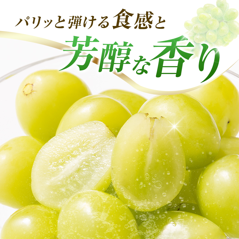 【令和8年発送 先行予約】小林市産 シャインマスカット 1kg（ブドウ ぶどう シャインマスカット マスカット フルーツ 果物 先行受付 限定） 1.0kg程度