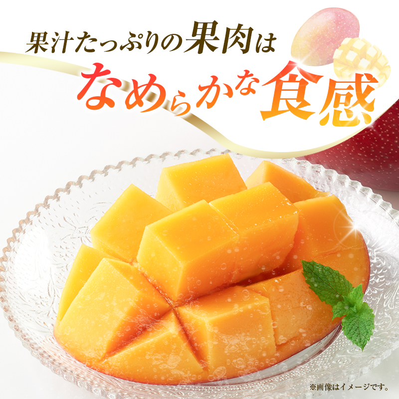 【令和8年発送 先行予約】完熟マンゴー 2L×2玉（フルーツ マンゴー 完熟マンゴー アップルマンゴー 果物 くだもの 先行受付） ２L×２玉