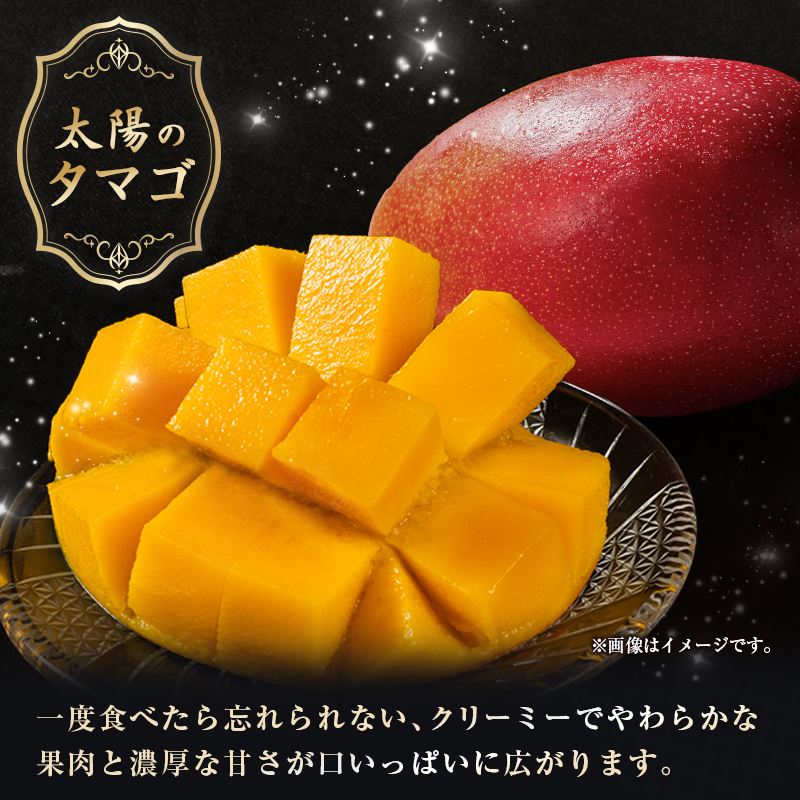 【令和8年発送 先行予約】完熟マンゴー「太陽のタマゴ」 3L×2玉（フルーツ マンゴー 完熟マンゴー アップルマンゴー 果物 くだもの 先行受付） ３L×２玉
