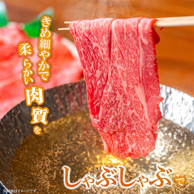 【A4等級以上】宮崎牛赤身スライス 500g×2P 計1kg（内閣総理大臣賞 A4 A5 宮崎牛 牛肉 黒毛和牛 赤身 すき焼き しゃぶしゃぶ スライス 宮崎県）