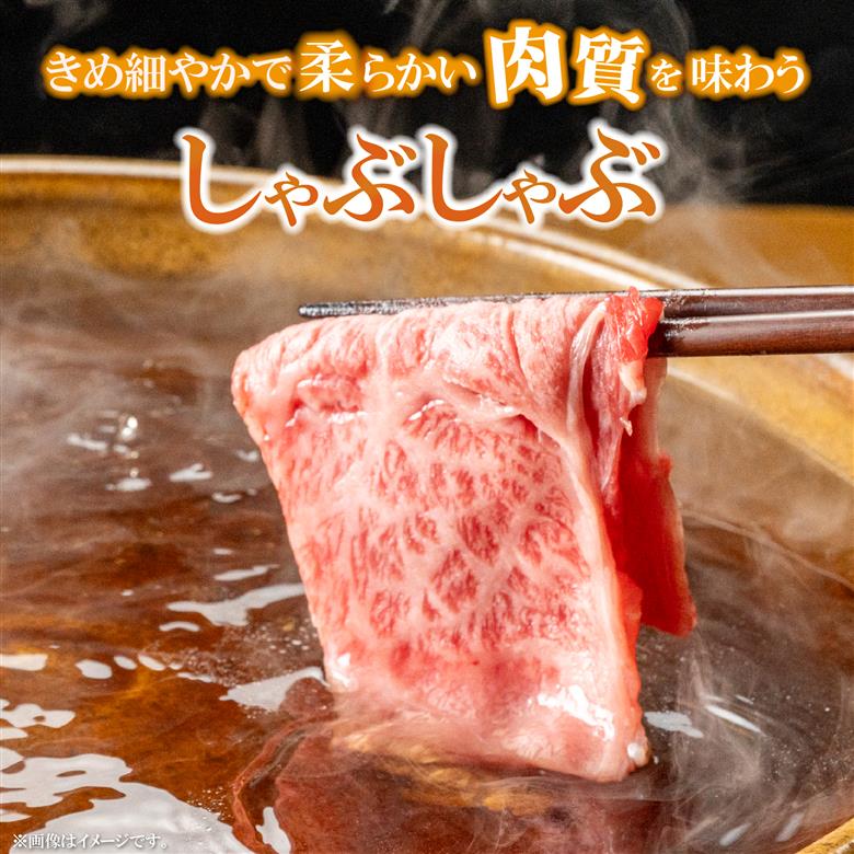 【A4等級以上】宮崎牛ローススライス 300g（内閣総理大臣賞 A4 A5 宮崎牛 牛肉 黒毛和牛 ロース すき焼き しゃぶしゃぶ 宮崎県）