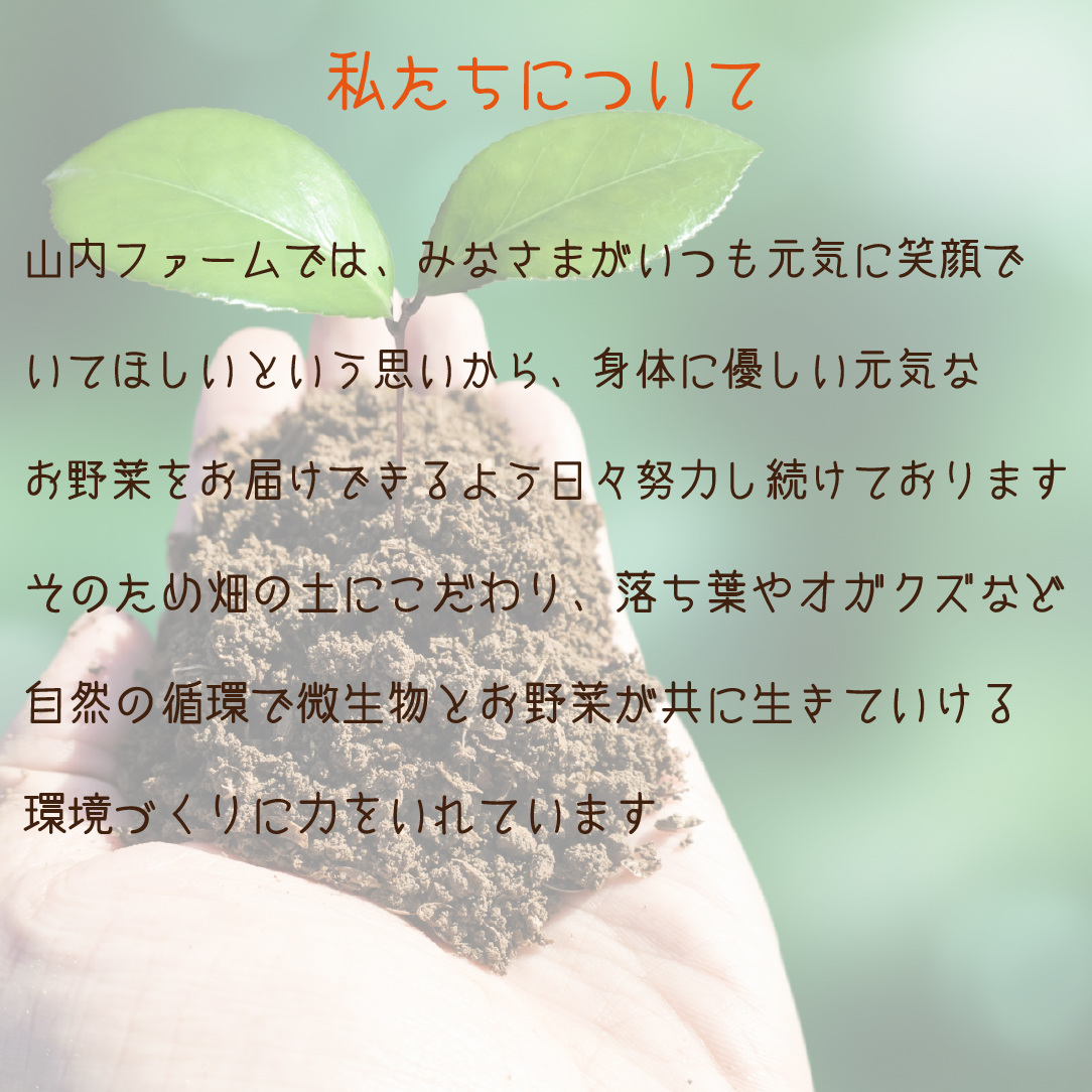 【定期便 全3回】季節の野菜詰め合わせセット（新鮮 採れたて 野菜 セット 定期便 詰め合わせ 宮崎県） ３回定期