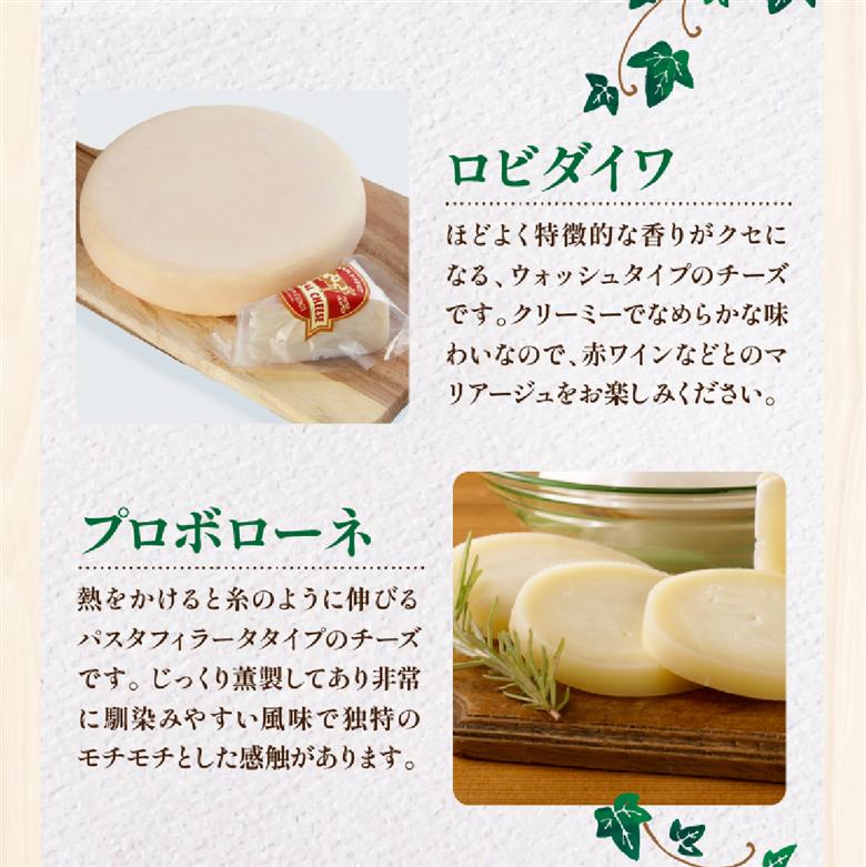 【国内外コンテスト受賞！】奇跡のチーズセット（国産 ナチュラルチーズ 乳製品 チーズ コンテスト受賞 人気 霧島 宮崎 小林市 地域限定）