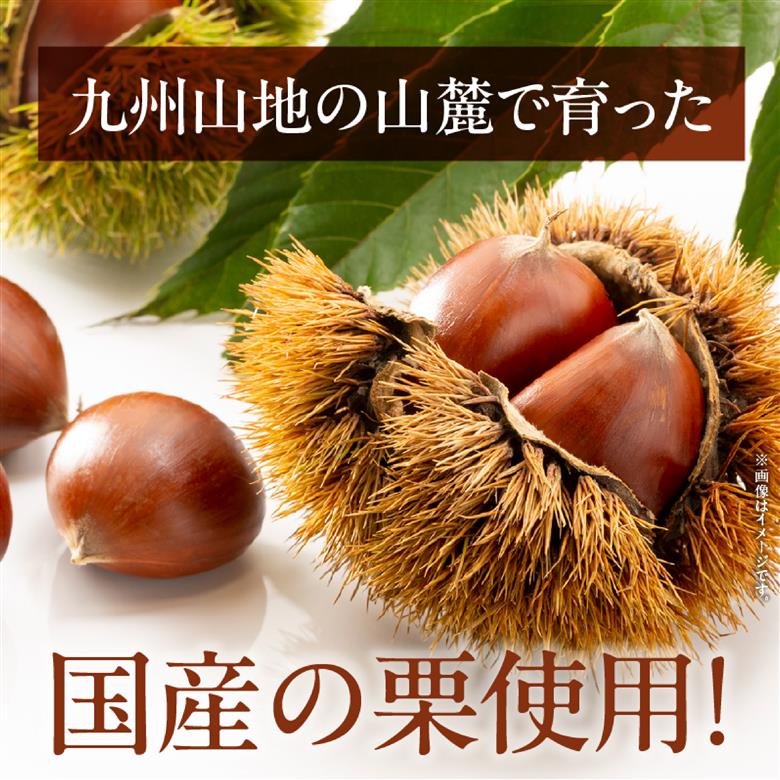 須木栗マロングラッセ<100g×2箱：すき特産>（菓子 焼き菓子 スイーツ 栗 マロングラッセ 個包装 小分け 人気 地域限定 お土産 宮崎 小林市）