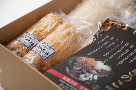 【農場直送】もぎたて霧島きのこと炊き込みご飯の素セット 約3.3kg（えのき茸 エリンギ ブナしめじ しめじ やしゃ茸 生きのこ 農場直送）