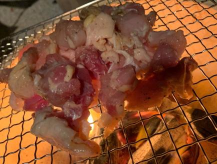 【宮崎ブランド地鶏】朝挽き”みやざき地頭鶏”おためしセット　約1.3㎏（国産 鶏 鶏肉 地鶏 小分け モモ肉 もも肉 ムネ肉 むね肉 焼肉 鍋 唐揚げ 炭火焼 チキン南蛮 宮崎 小林市）