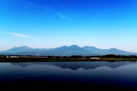 【純国産キャビア】皇帝の涙２種食べ比べおためしセット 10g 国産 チョウザメ キャビア オシェトラ 食べ比べ