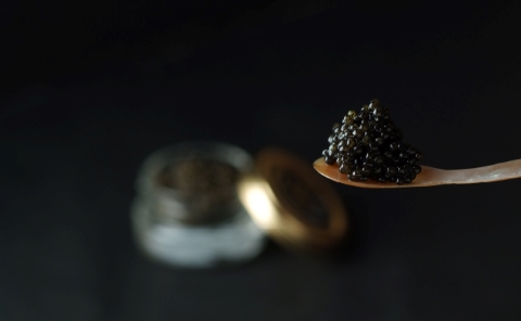 【純国産キャビア】出の山トラウトスモークとマスカルポーネwithキャビアセット