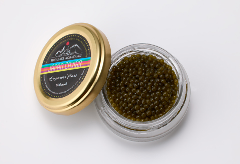 【純国産キャビア】オシェトラキャビア 20g 皇帝の涙 国産 チョウザメ 魚卵 宮崎県