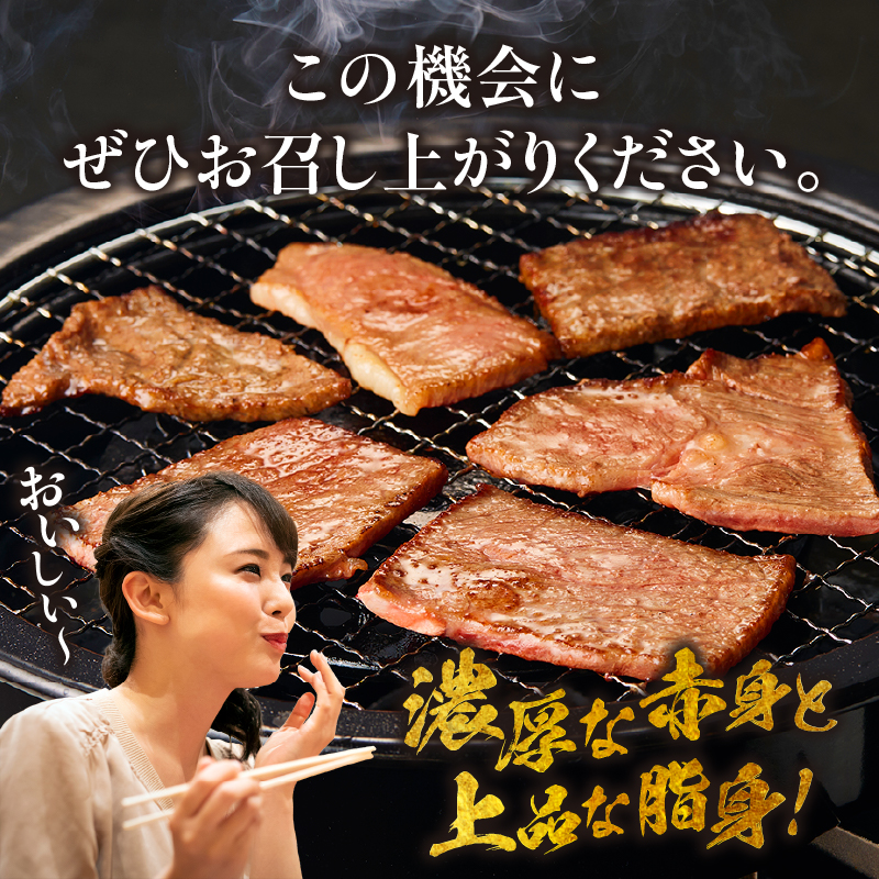 A4等級以上 宮崎牛 訳あり 焼肉 バラエティパック 1kg（牛肉 肉 お肉 黒毛和牛 宮崎牛 ブランド牛 内閣総理大臣賞4大会連続受賞）