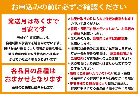 【先行予約！フルーツ定期便：全7回】こばやし季節のフルーツ Aコース（先行受付 国産 フルーツ 果物 シャインマスカット マンゴー いちご 数量限定 産地直送）
