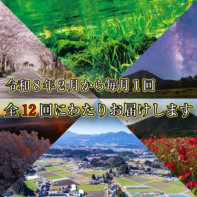 【定期便・全12回】新春おたのしみ お年玉コース  金金（牛肉 豚肉 鶏肉 フルーツ 2026 スイーツ 先行予約 定期便 宮崎 小林市）