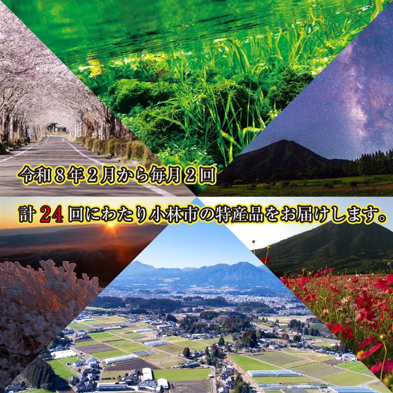 【定期便・全24回】新春おたのしみ お年玉コース  金金金（牛肉 豚肉 鶏肉 フルーツ スイーツ 2026 先行予約 定期便 宮崎 小林市）