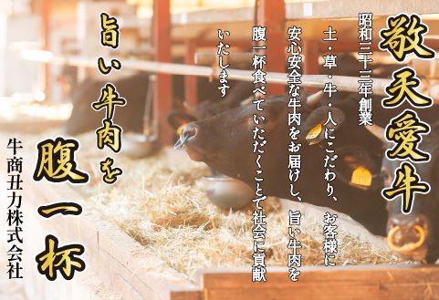 【自社農場和牛】富永和牛おうちで焼肉セット（国産 牛肉 和牛 赤身 霜降り 焼肉 BBQ 限定）