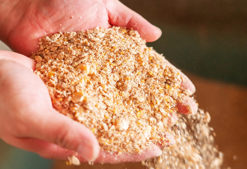 【自社農場和牛】富永和牛手作りハンバーグ（ハンバーグ 牛肉 牛肉100% 国産 冷凍 調理済 宮崎 惣菜 小林市）