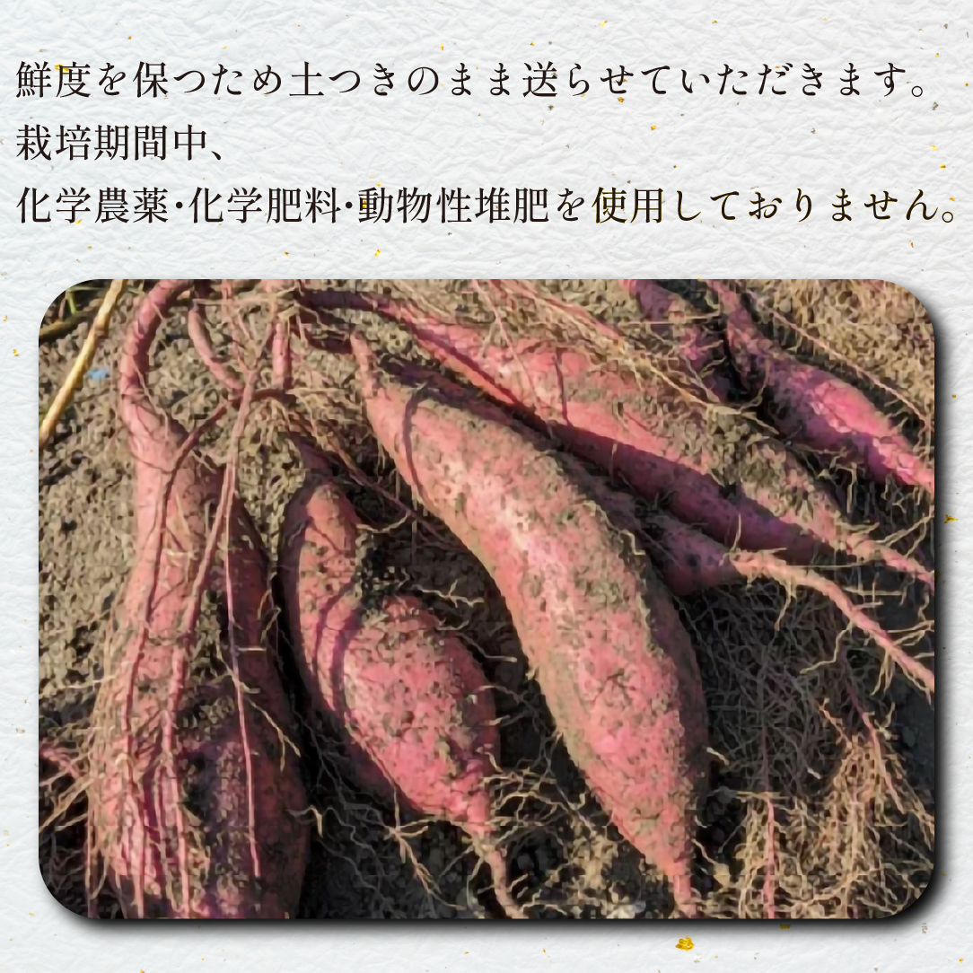【産地直送】小林市産さつまいも「紅はるか」4kg