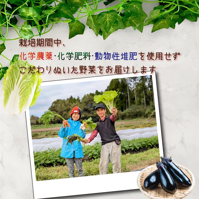 【野菜の定期便】こばやし季節の野菜詰め合わせセット　全12回 12回定期