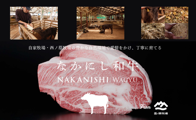 【生産者直送】なかにし和牛赤身焼肉 -上-（黒毛和牛 小林市産 国産 牛肉 和牛 赤身 焼肉 産地直送 送料無料）