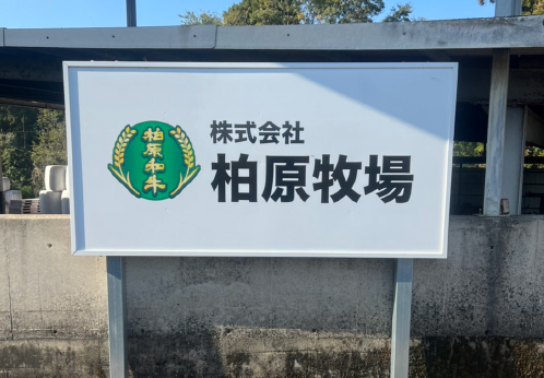 【自社農場和牛】メス指定黒毛和牛ハラミ 300g（国産 黒毛和牛 牛肉 ハラミ 焼肉 BBQ 冷凍）