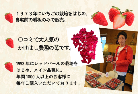 【生産者厳選】新鮮採れたて プレミアムいちご 12粒（苺 イチゴ いちご 大粒 フルーツ 2026 産地直送 贈答用 プレゼント 限定）