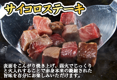 宮崎和牛 赤身焼肉 ＆ 赤身サイコロステーキセット 計1kg（牛肉 和牛 黒毛和牛 赤身 焼肉 ステーキ サイコロ 人気）
