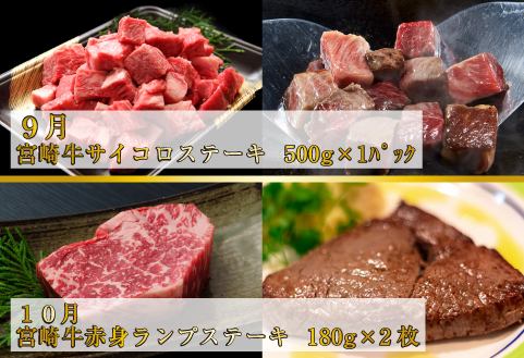 【ステーキ定期便】百名店ステーキコース 全6回（牛肉 黒毛和牛 ヒレ モモ サーロイン ロース ハンバーグ 赤身 希少部位 定期便）