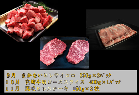 【お肉の定期便】百名店 雅 コース 全9回（牛肉 黒毛和牛 和牛 宮崎牛 モモ 赤身 サーロイン ロース ヒレ ステーキ 定期便）