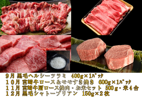 【お肉の定期便】百名店 極コース 全12回（牛肉 和牛 黒毛和牛 宮崎牛 ステーキ シャトーブリアン モモ サーロイン 赤身 定期便）