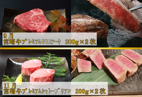 【お肉の定期便】百名店 宮崎牛A5等級メス・プレミアムコース 全6回（牛肉 和牛 黒毛和牛 宮崎牛 ステーキ シャトーブリアン ロース モモ 赤身 サーロイン 定期便）