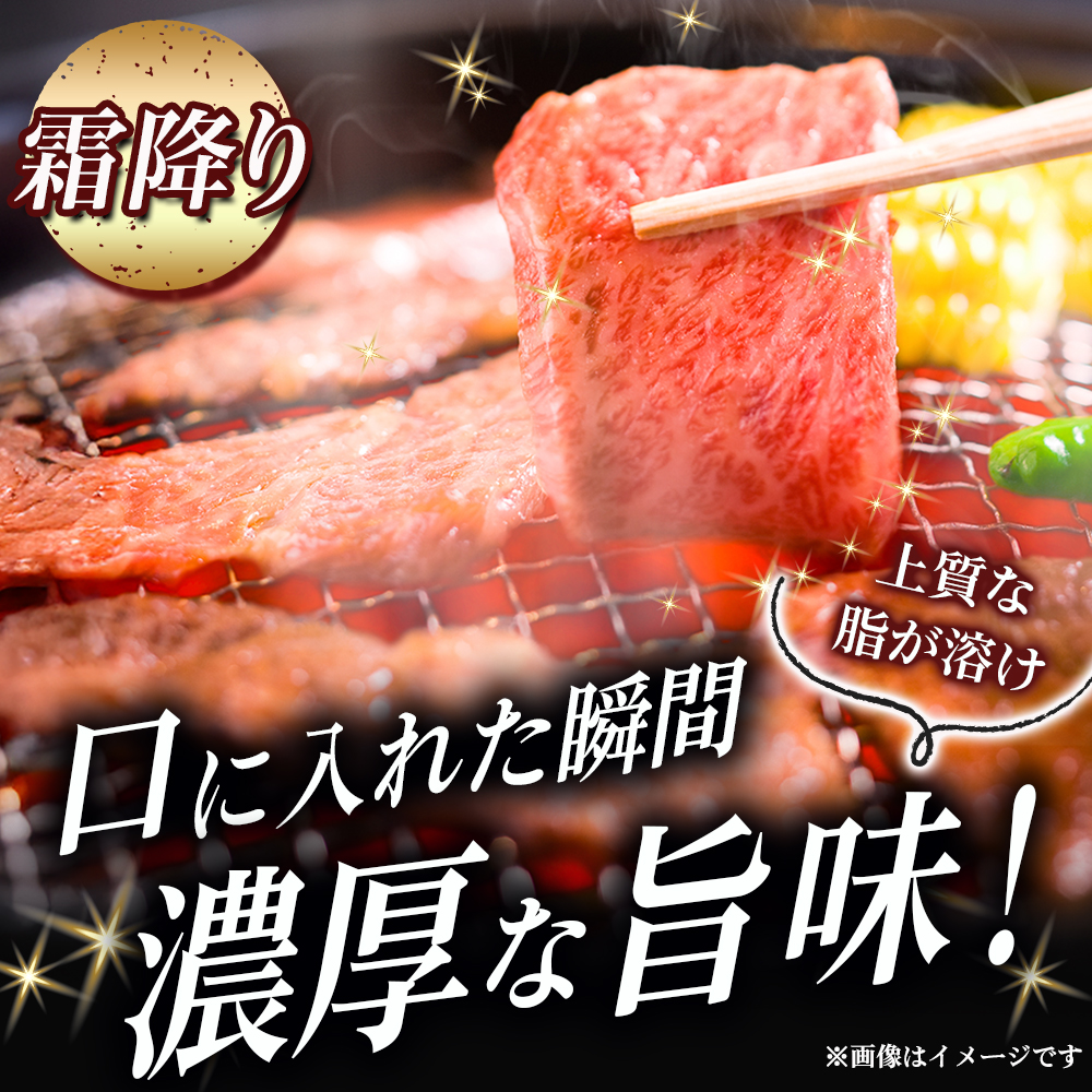 【選べる容量】【A5等級】宮崎牛 特選焼肉セット 計1.2kg（赤身・霜降り） 宮崎牛 プレミアムシリーズ ブランド牛 和牛 牛肉 焼肉 特選和牛 霜降り A5 宮崎県 小林市 1.2kg
