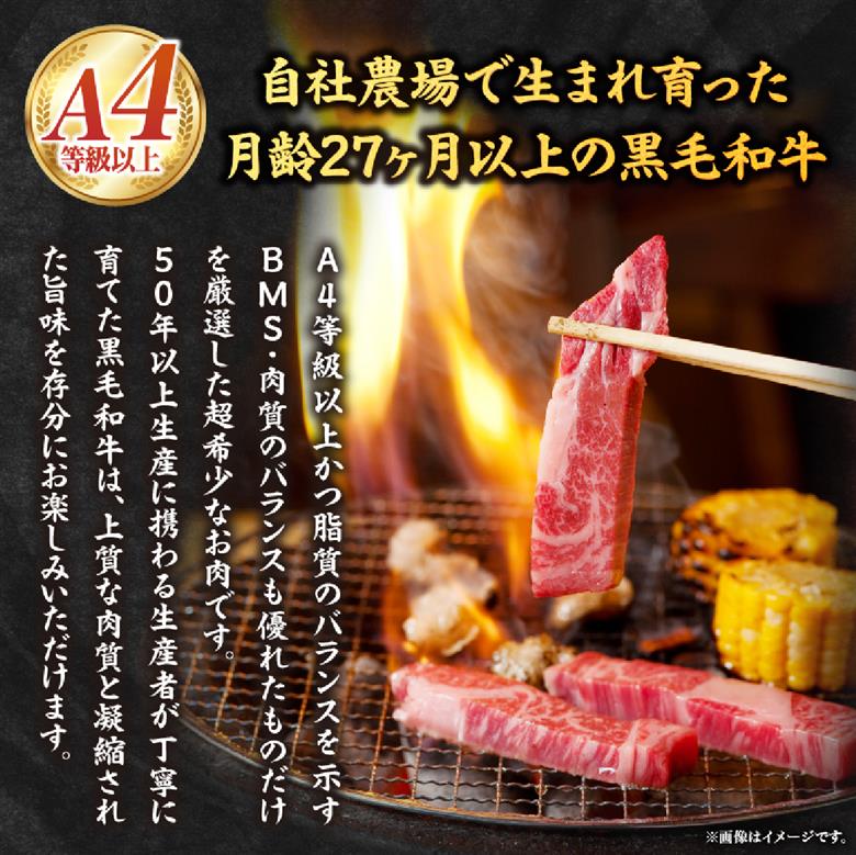 宮崎県西ノ原牧場・なかにしプレミアム和牛訳あり不揃い切り落とし焼肉 800g（国産 牛肉 肉 黒毛和牛 お肉 切り落とし 焼肉用 焼肉 人気 訳あり 不揃い） 400g×2P