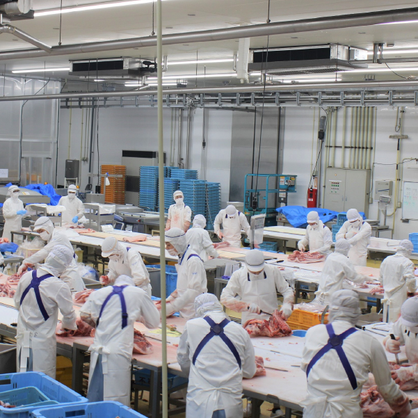 【選べる容量】【工場直送】九州産豚バラ スライス 8kg（ 国産 豚 豚肉 豚バラ しゃぶしゃぶ 小分け バラ 大容量 冷凍 ） 8.0kg