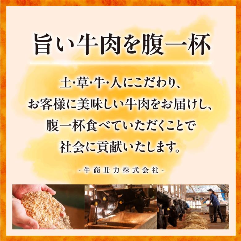 【ANA限定】黒毛和牛 赤身 焼肉 400g（国産 牛肉 和牛 赤身 モモ ウデ 焼肉 BBQ 限定 ANAオリジナル）