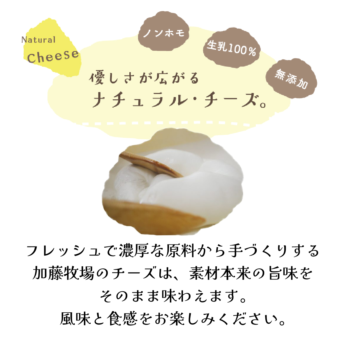 【国内コンテスト最優秀賞受賞！】カマンベールチーズ 1個 100g （チーズ 国産 乳製品 生乳 国産チーズ ノンホモ 手作り 人気）