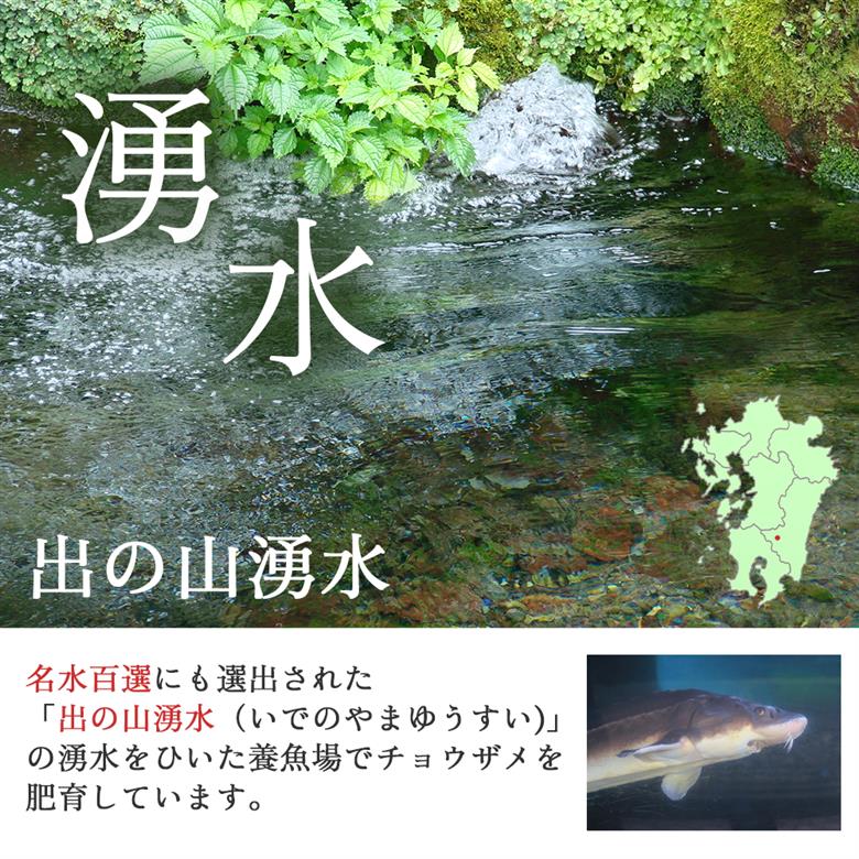 【純国産キャビア】オシェトラキャビア 60g 皇帝の涙 国産 チョウザメ 魚卵 宮崎県 小林市