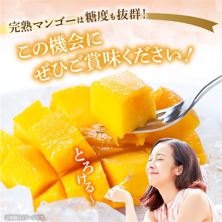 【2026年発送 先行予約】生産農家応援・濃厚果肉 みやざき完熟マンゴー 2L×3玉（マンゴー フルーツ アップルマンゴー 果物 くだもの 2026 先行受付 宮崎）