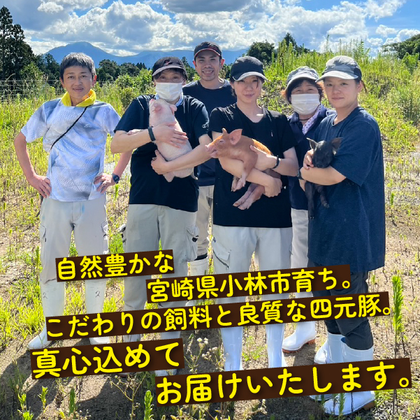 【年末年始限定】めぶ～豚 こま切れ 4.5kg（豚肉 豚 豚小間 小間切れ こま切れ しゃぶしゃぶ 限定）