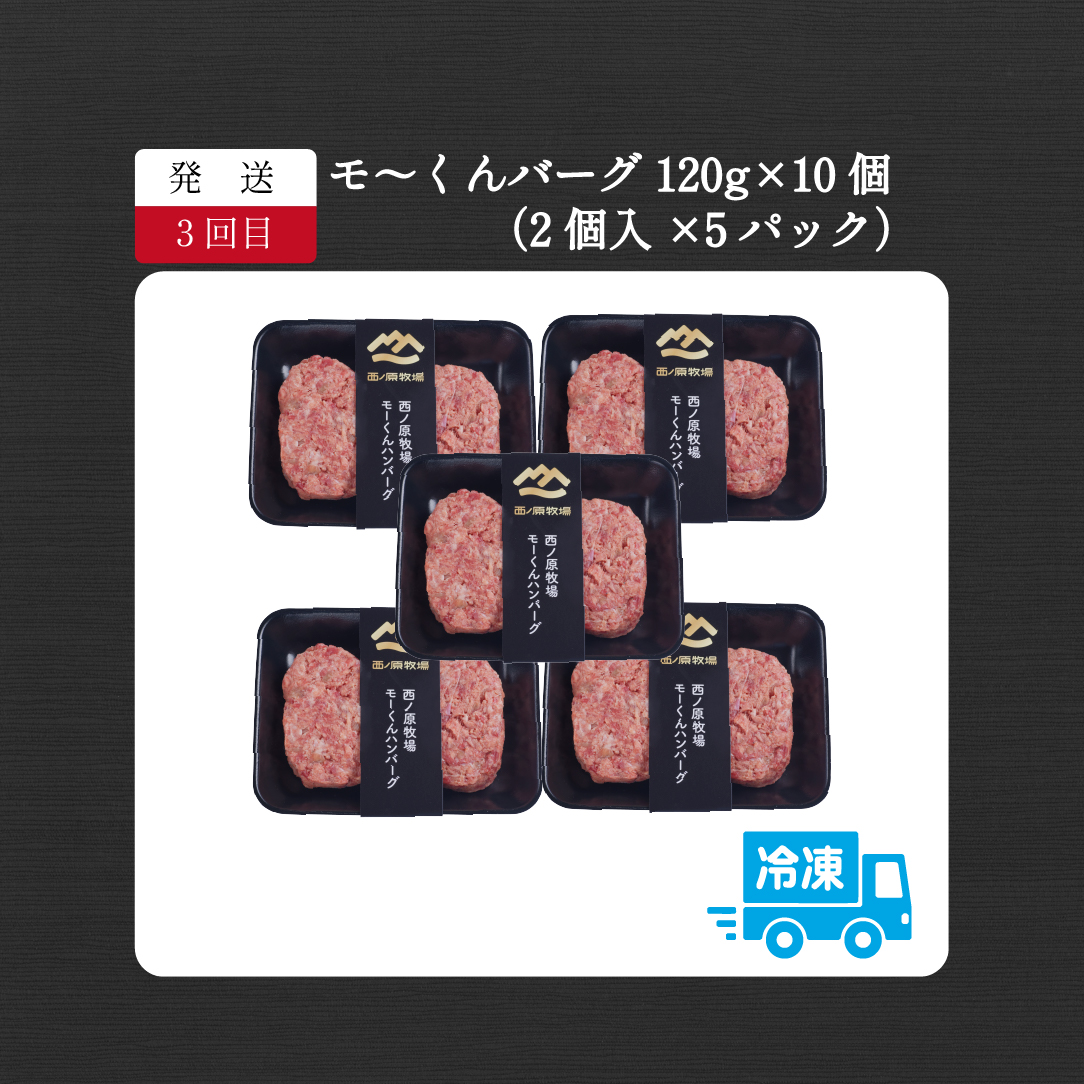 【定期便 全3回】宮崎県西ノ原牧場・なかにし和牛バラエティ定期便（牛肉 黒毛和牛 焼肉 小間切れ ハンバーグ 定期便） ３回定期