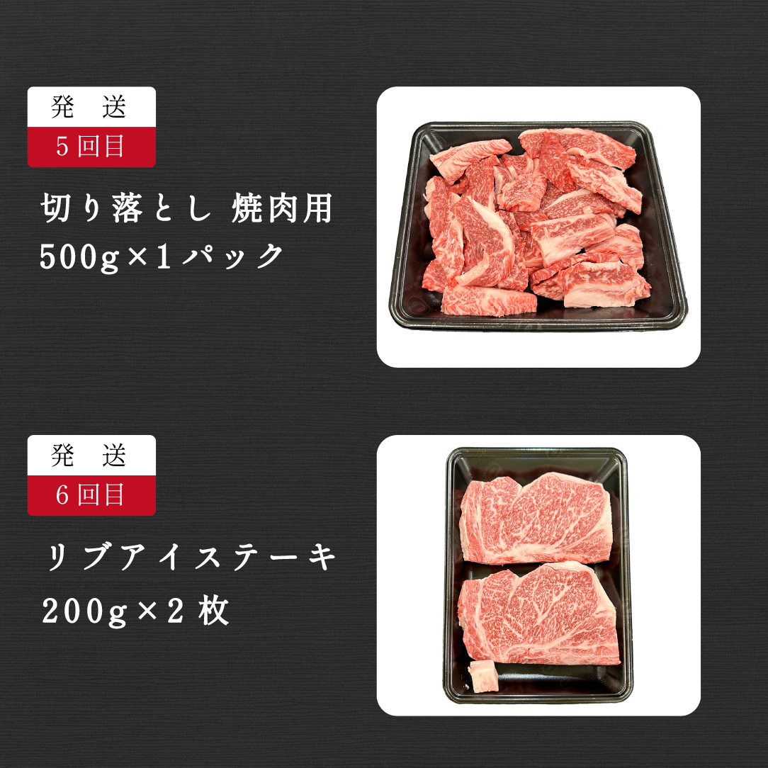 【定期便 全6回】宮崎県西ノ原牧場・なかにし和牛バラエティ定期便（牛肉 黒毛和牛 すき焼き しゃぶしゃぶ 焼肉 赤身 ステーキ 定期便） ６回定期