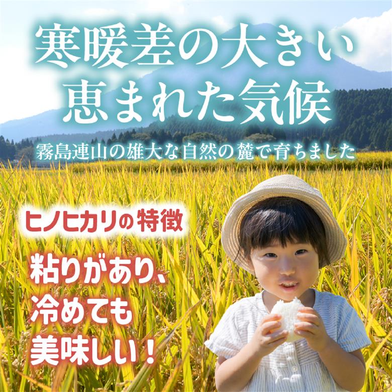【定期便 全6回】令和7年産米 ヒノヒカリ 5kg×6回 計30kg（お米 米 新米 ヒノヒカリ 国産 人気 お弁当 宮崎県 小林市） 5kg×6回