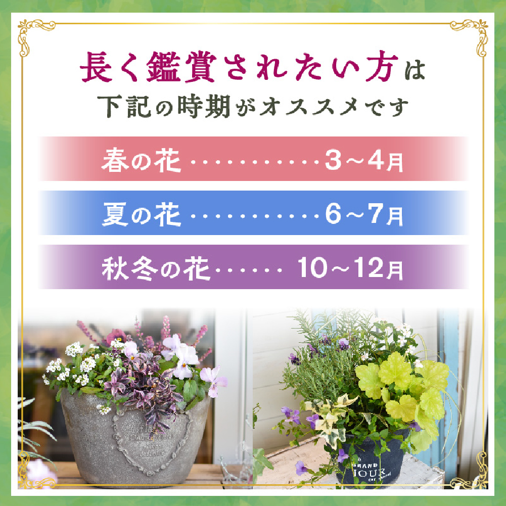 【お手軽ガーデニング】季節の寄せ植え（風の丘ガーデン） ギフト寄せ植え 贈答用寄せ植え 母の日 誕生日 記念