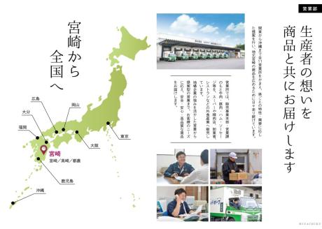 【特別提供品】宮崎牛ミスジステーキと黒毛和牛小間切れセット