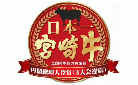 【モリモリ応援】A4等級以上 小林市産宮崎牛おためし上質肩ロース（焼肉用）800g