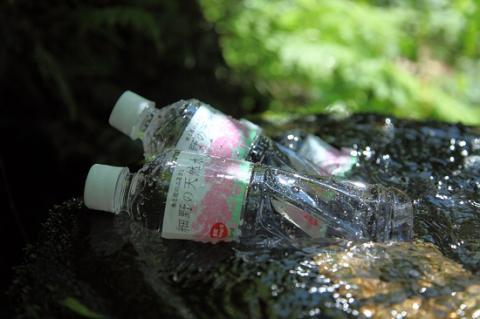 【定期便・霧島連山天然水 12か月コース】ミネラルたっぷり天然中硬水 細野の天然水 555ml×24本×12回（国産 ナチュラルウォーター ミネラルウォーター 天然水 水 中硬水 シリカ 美容 人気