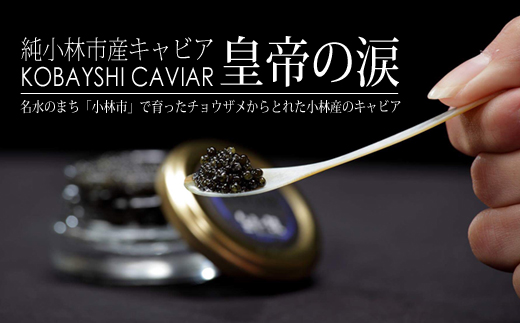 【純国産キャビア】ロイヤルシベリアンキャビア 20g 皇帝の涙 国産 チョウザメ 魚卵 宮崎県