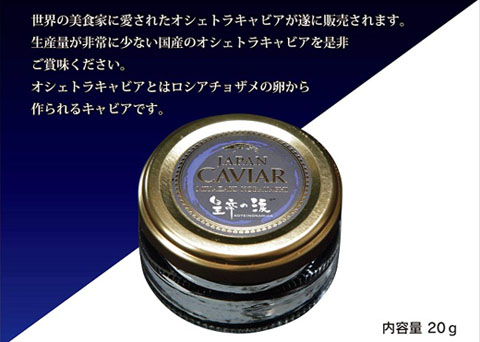 【純国産キャビア】オシェトラキャビア 20g 皇帝の涙 国産 チョウザメ 魚卵 宮崎県